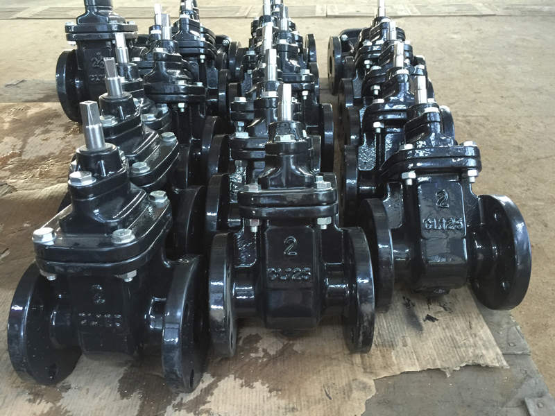 Mss Sp Metal Seal Cast Iron Gate Valve Gate Valve Valves Qingdao