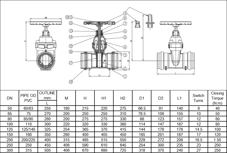 Resilient Wedge Gate Valve with PVC socket ends PN16