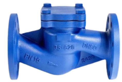 lift check valve