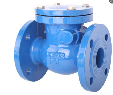 swing check valve